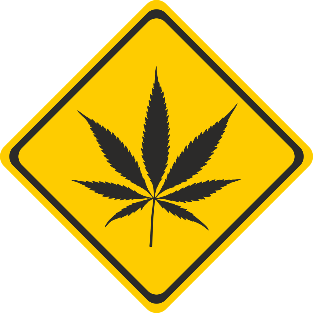 cannabis, hemp, intoxicant-2273796.jpg